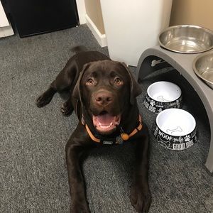 Meet your Posher, Lori